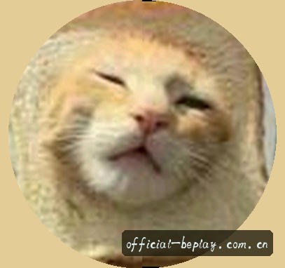 张总